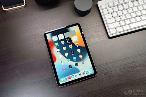 iPad mini 6 Pro曝光 可能有120Hz高刷,最低128GB