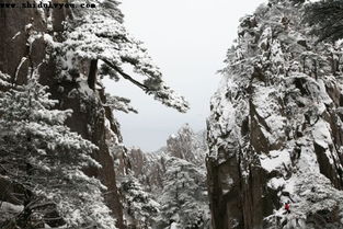 打印 冬季游黄山旅游攻略及常识注意点 