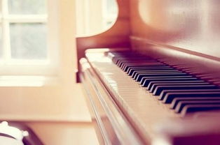 找几张唯美的女生弹钢琴的图片 