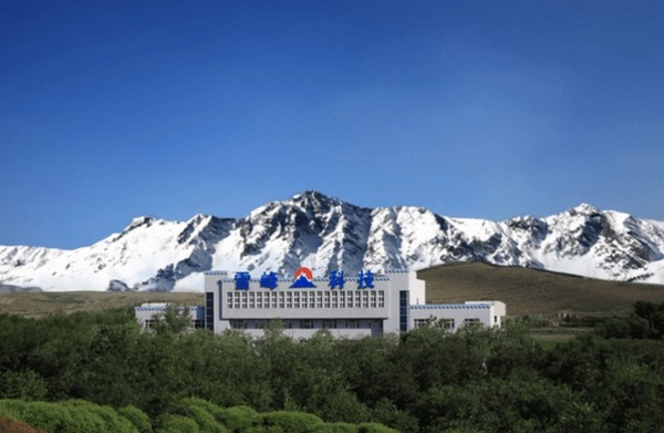 新疆雪峰科技（集团）股份有限公司怎么样？