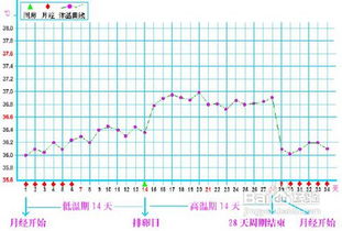 排卵试纸怎么看是排卵(排卵试纸怎么判断排卵期)