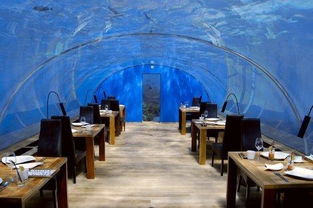 上海哪一家餐厅可以在海底吃饭 