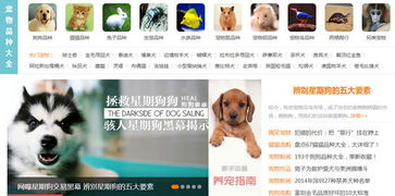 秀宠网正式上线致力打造国内最具影响力的宠物门户 搜狐 