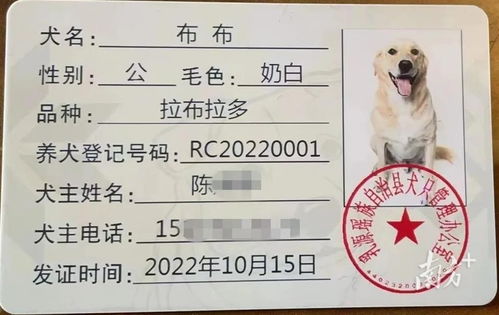 韶关乳源首张养犬登记证已发放 办证攻略看这里