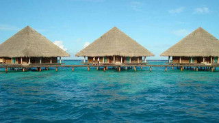 马尔代夫旅游攻略白金岛值得去吗白金岛有哪些特色（马尔代夫白马酒店价格）