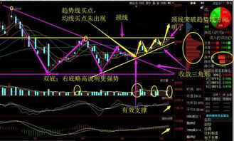 天立环保这个股票怎么样？这个公司到底是做什么的？15.56满仓的，这个股票后市会怎么走？