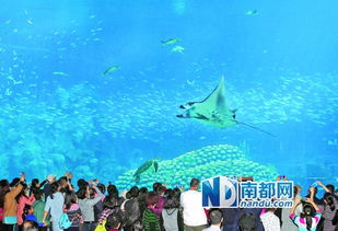 全球最大海洋主题乐园珠海开业