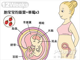 怀孕三个月胎儿图 怀孕三个月吃什么好 怀孕三个月注意事项 亲子百科 