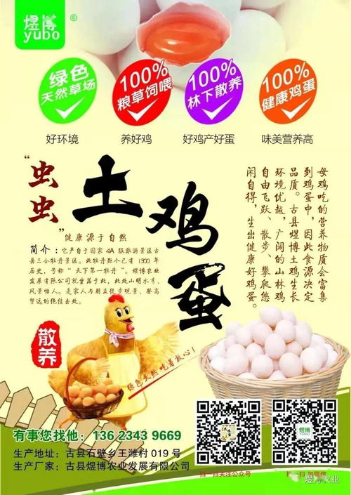 招聘 煜博虫虫土鸡蛋招聘啦