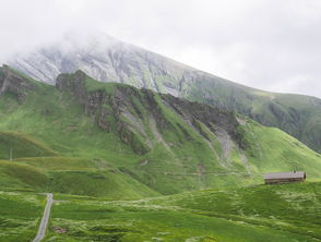 什么故山，什么故山丘