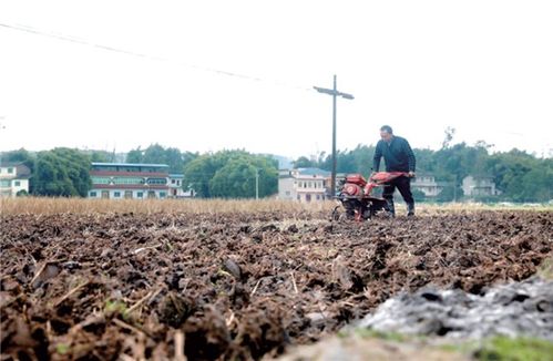 澳门游戏平台 梁平 农时不负春 春耕备耕忙