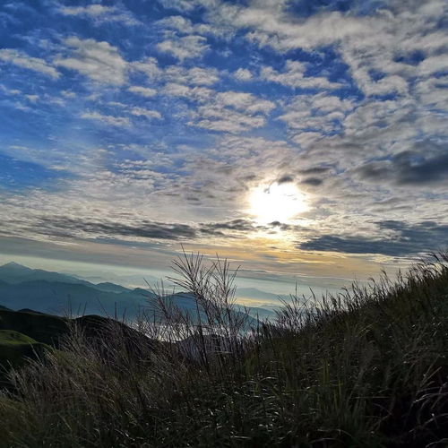 武功山有免费停车场吗(武功山景区b区停车场收费标准)