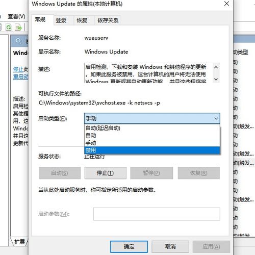 win10怎么设置自动根系