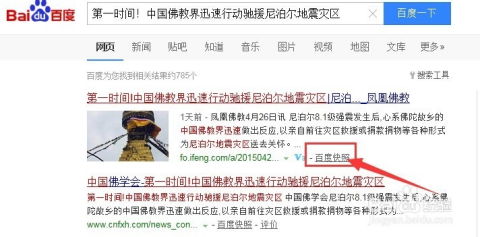 网页文字复制不了怎么办