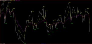 如何在rsi指标高低点显示数字