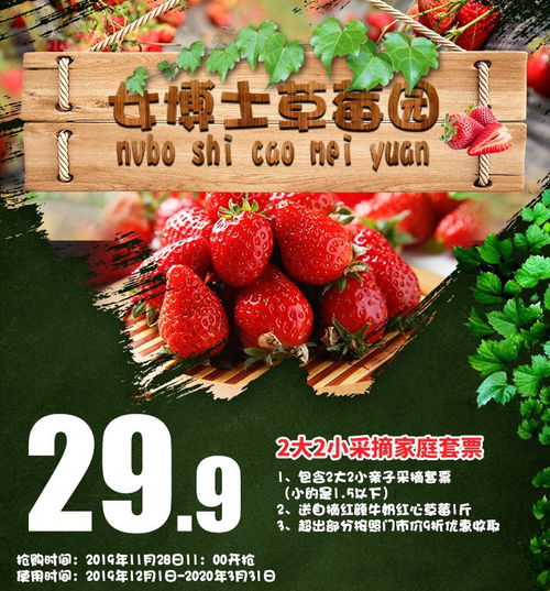 深圳采摘草莓的地方有哪些 