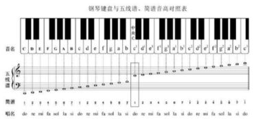 32键电子琴的指法是怎样的,1234567.在什么位置 