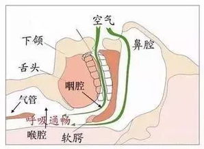 孙洪强psg多导睡眠监测在精神科的应用 米粒分享网 Mi6fx Com