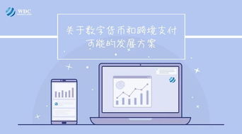 WDC币怎么交易,初识WDC：数字货币的新星