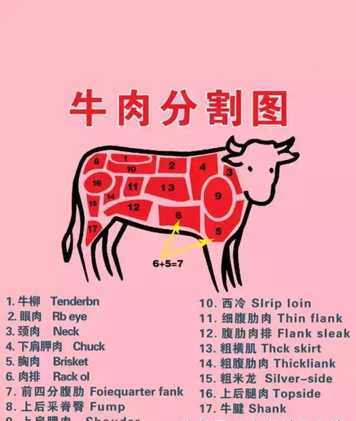 牛肉部位 搜狗图片搜索