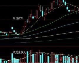 今天成交量放大了说明什么问题？