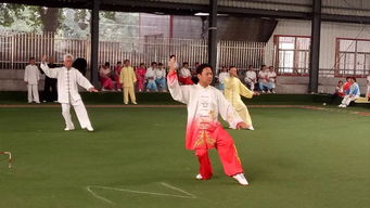 洛阳市第十三届老年人健身大会太极拳 械 比赛圆满结束 