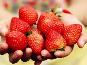 原来三月的草莓还有这5大功效,按月吃水果就选它了 