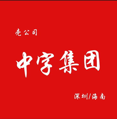 特殊批复中字头名称,多个领域集团公司