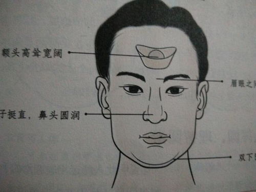 面相学 有此面相特征的人是赚钱高手,财运旺盛,生活富裕