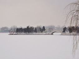 关于早春瑞雪的诗句