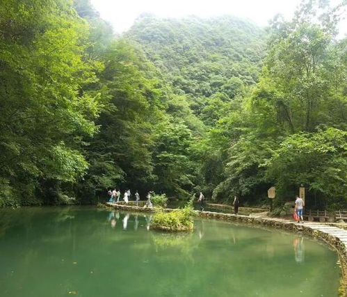 幽雅 恬静 甜香的七彩香水河 