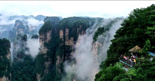 11月去张家界旅游需要请导游吗 请导游有什么好处吗