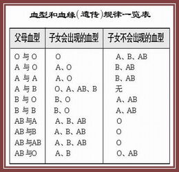 B型血和ab型血生的孩子是什么血型 