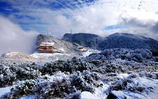 重庆到南川金佛山一日游旅游攻略