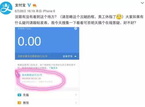 公司为其他公司提供支付担保额度有限制吗