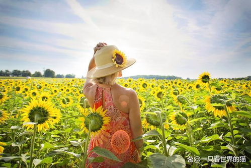 12星座女神节特辑 天秤 天蝎 射手 摩羯座