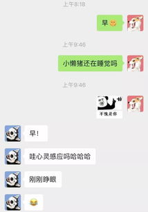 一周情侣 第一次见面他们就 ...... 撒狗粮