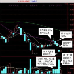 求上海家化股票分析报告