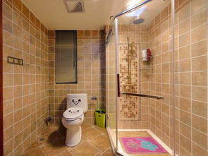 怎样选择卫生间瓷砖卫生间瓷砖选什么颜色 