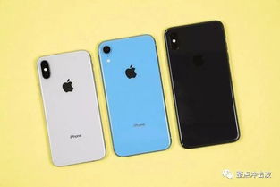 iOS12.3适合每一款iPhone吗 XR用户升级之后有话说