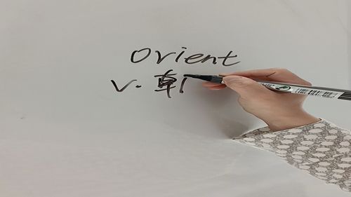 orient是朝向的意思,跟我来学习 