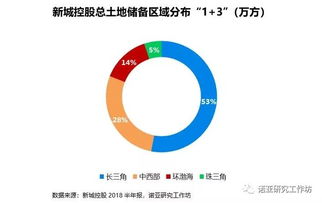 新城B股转A股什么时间开盘？