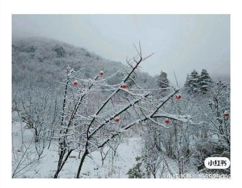 女人分享烟雨唱扬州想表达什么