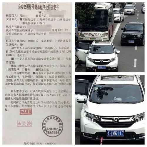 罚 凯里这些出租车 网约车被曝光