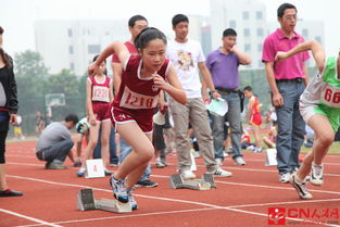 校园秋季田径运动会加油稿文案句子(运动会跑步比赛*文案)