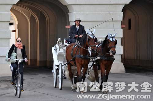 梦见马车奔跑是什么意思 梦到马车奔跑好不好 大鱼解梦网 