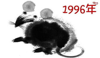 1996年出生的属鼠人7月份运势点评 触底反弹 