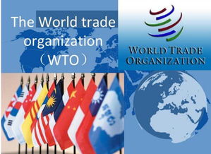 世界三大经济组织,世界经济体制的支柱 WTO,IMF,WB