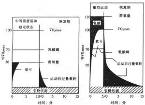 高强度有氧间歇训练(高强度有氧间歇训练跟练)