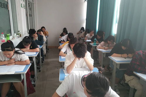郑州市高考文化课培训班排名